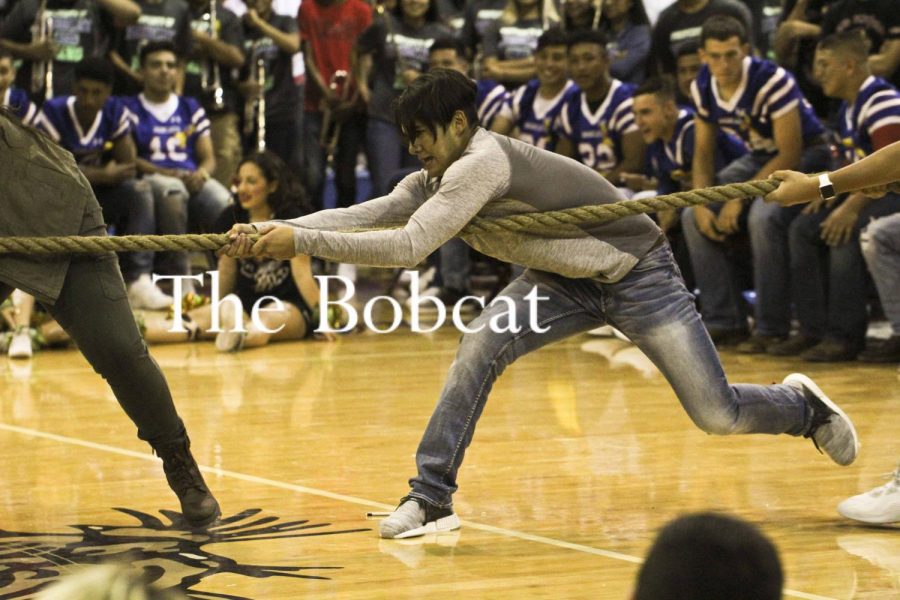 Junior, John Gonzalez, in the tug of war contest at the Bobcat Jungle pep-rally. 