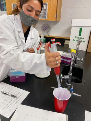 During a lab exercise, senior Larissa Martinez uses a pipette tube. A pipette tube is used to transfer liquid from one place to another.  I was eager to finish the lab exercise as fast as possible but also as accurate, Martinez said.